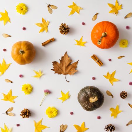 Colorful autumn pattern made of pumpkins, leaves and flowers