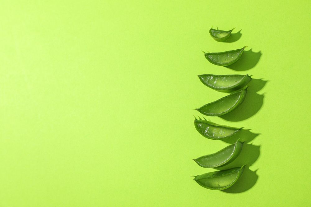 Aloe vera slices on color background, space for text. Natural treatment