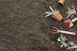 Arranged tools on gardening soil