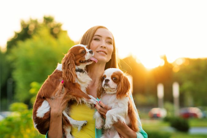 Breeder on walk with two dogs