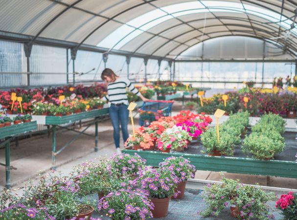 Female customer with cart on flower market