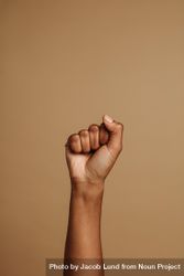 Raised fist symbolizing the Black lives matter movement 47Vgl5
