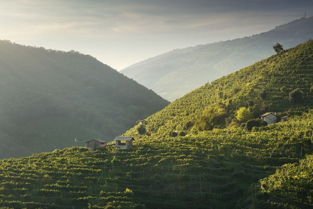 Vineyards and a few small rural cottages on the Prosecco hills. Valdobbiadene, Italy