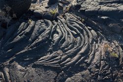 Texture of rough stone