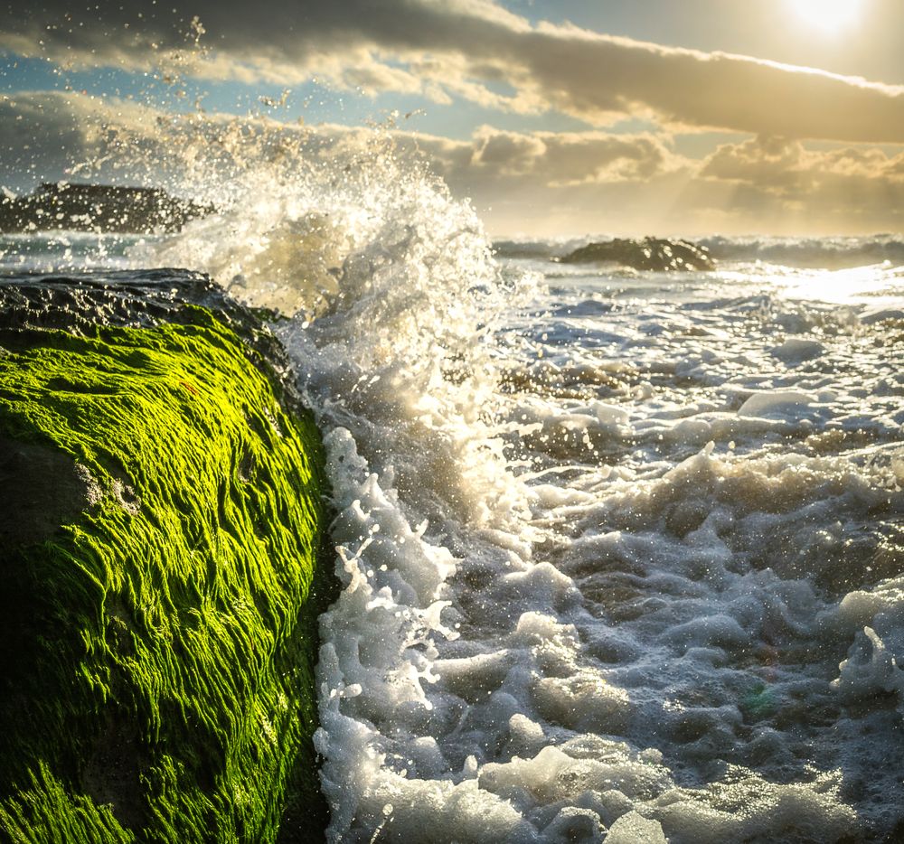Sea wave splashing on cliff
