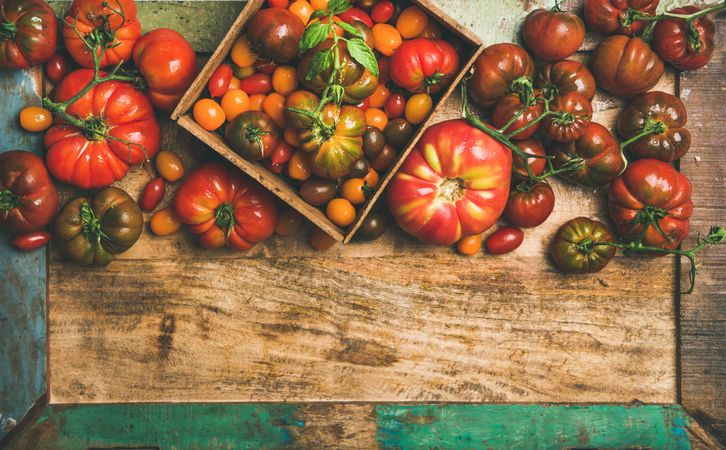 Assortment of different tomatoes in square box, on green trimmed wooden table, with copy space