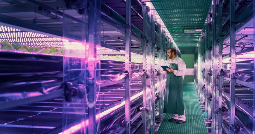 Young Farmer Working in a Vertical Farm Facility with Ultraviolet LED Lights. Hydroponics Specialist Working on Tablet Computer Next to Rack with Fresh Plants Ready for Shipping to a Supermarket