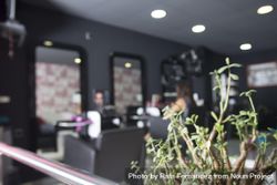 Hair salon with green plant in foreground bEok65