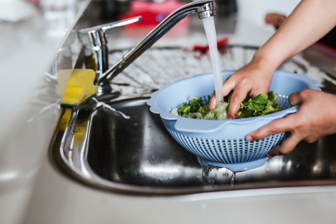 Crop child washing herbs for salad