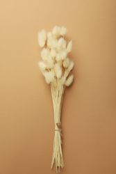 Vertical composition of dried bunny tail bouquet on neutral brown background