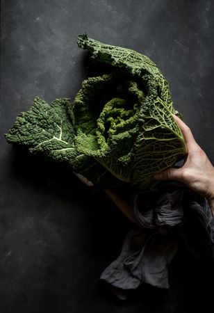 Woman holding fresh cabbage on table