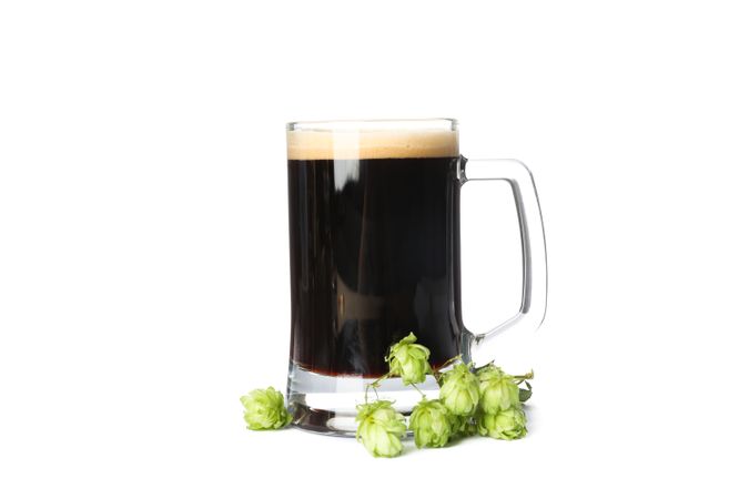 Glass of beer and hop branch isolated on plain background