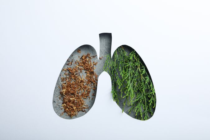 Lung shape cut out of paper with lush green plant and tobacco underneath