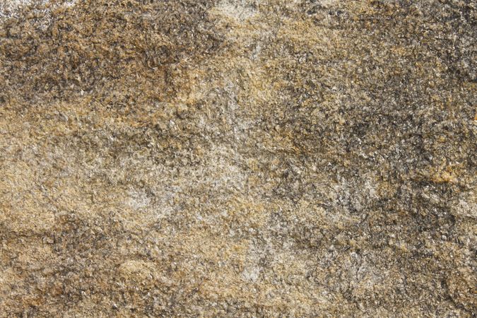 Texture close up of light brown rock