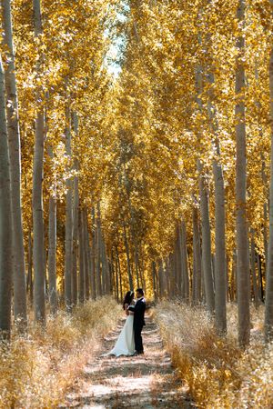 Vertical shot of newlyweds between rows of autumnal leaves