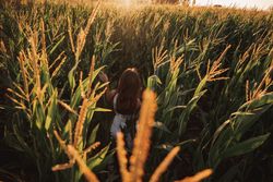 Woman in field ears of wheat on field on sunny day