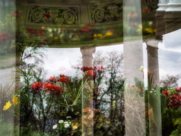 Blooming Orangerie park in Strasbourg. Magnolias, tulips, roses. Double exposure. Postcard.