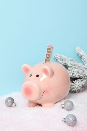 Concept of Christmas finance with piggy bank, space for text