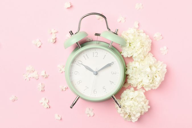 Alarm clock and beautiful hydrangea flowers on pink background