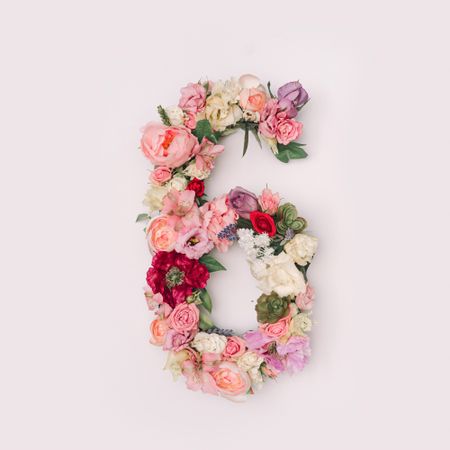 Number 6 made of real natural flowers and leaves
