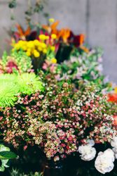 Spring flowers display in the flower shop.