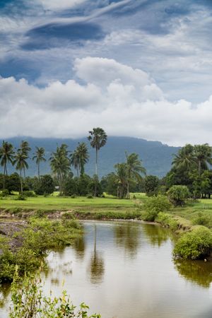 Peaceful river in green tropical landscape