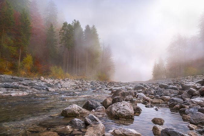 Autumn mist over river and forest