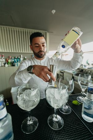 Cheerful Barman preparing alcoholic drinks in a bar.