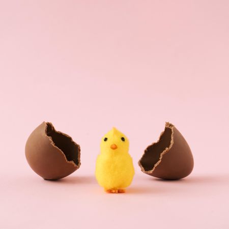 Chick hatched out of chocolate Easter egg on pastel pink background