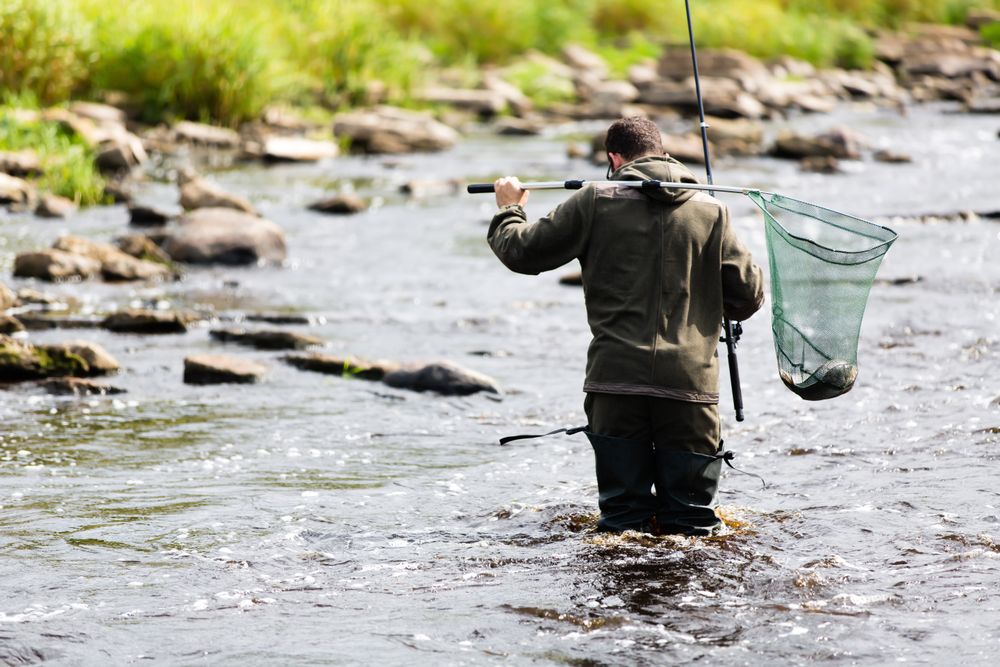 Fisherman Crossing River with Catch