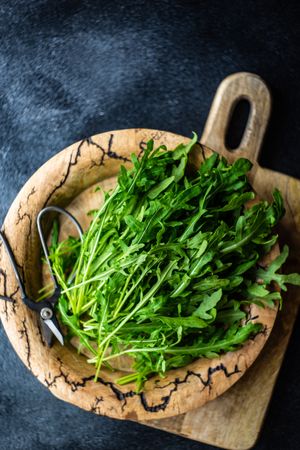 Healthy food plate with bunch of arugula leaves