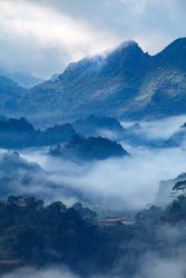 Fog in morning sunrise in tea plantation and hut at Doi Ang Khang, Chiang Mai, Thailand