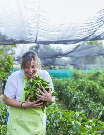 Gardener in apron showing green peppers at camera