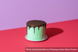 Chocolate mint cake isolated on a vibrant colored background bGLkV0