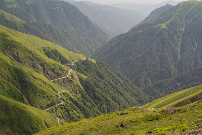Wonderful view of foggy valley with lush greenery