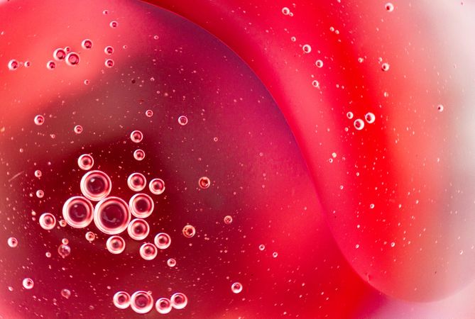 Abstract pink and red water bubbles