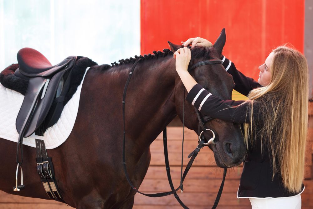 Woman putting bridle on horse