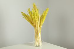 Vase of yellow reed grass in grey room