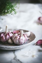 Close-up of a plate of garlic