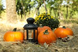 Cozy autumn concept with pumpkins and candle outdoor