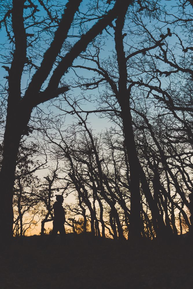 Man walking in autumn forest at sunset