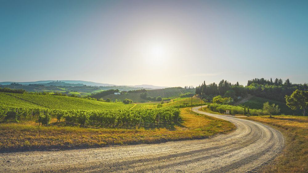 Road and vineyards in the San Gimignano countryside, Tuscany, Italy