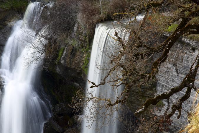 Autumn tree and waterfall