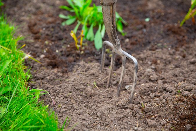 Eco concept with forks in soil