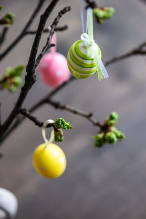 Close up of decorative eggs on branch