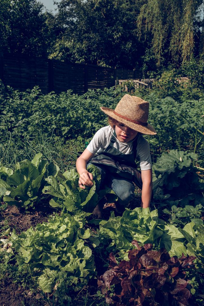 Kid in hat taking care of plants