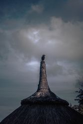 Bird on top of hut on cloudy day