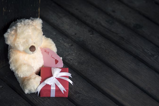 Teddy bear and label with message