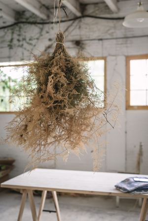 Bunch of plant hanging on thread in room with table