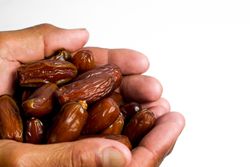 Hand hold date fruit on isolated studio background
